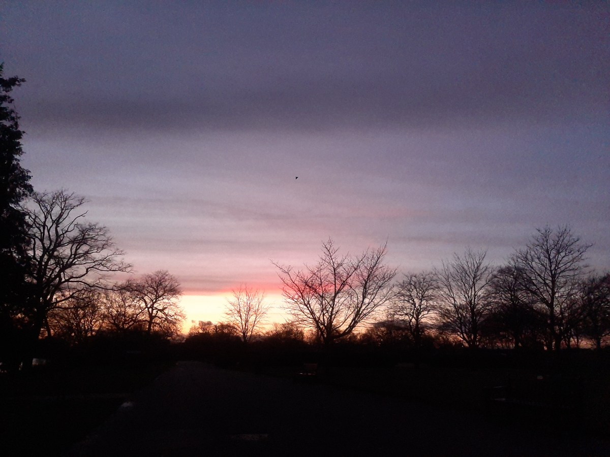 The sunset and sunrise